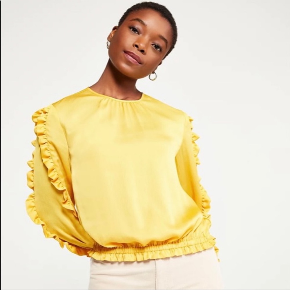 NWT Ann Taylor Ruffle Blouse with Cinched Hem
